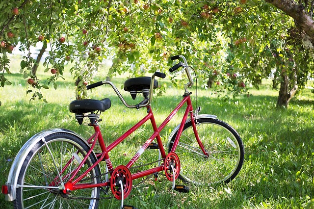 A red tandem bike stands in green grass